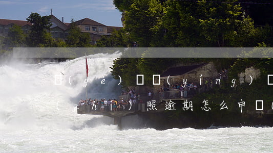 個(gè)體營(yíng)業(yè)執(zhí)照逾期怎么申報(bào)(個(gè)體營(yíng)業(yè)執(zhí)照逾期怎么申報(bào)稅務(wù))