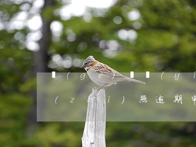 個(gè)體營(yíng)業(yè)執(zhí)照逾期申報(bào)的要罰多少錢(qián)（個(gè)體工商戶營(yíng)業(yè)執(zhí)照逾期了）
