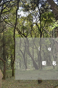 個(gè)體營業(yè)執(zhí)照變更名字(個(gè)體營業(yè)執(zhí)照變更名字 需要準(zhǔn)備哪些材料)