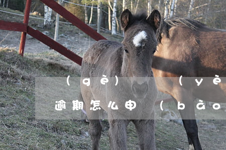 個(gè)體營業(yè)執(zhí)照逾期怎么申報(bào)(個(gè)體營業(yè)執(zhí)照逾期怎么申報(bào)稅務(wù))