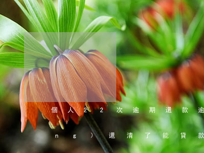個人22次逾期還款(逾期17次已經(jīng)還清了能貸款嗎)