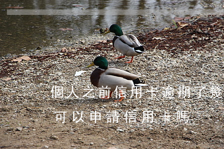 個人之前信用卡逾期了幾次(有一次逾期記錄可以申請信用卡嗎)