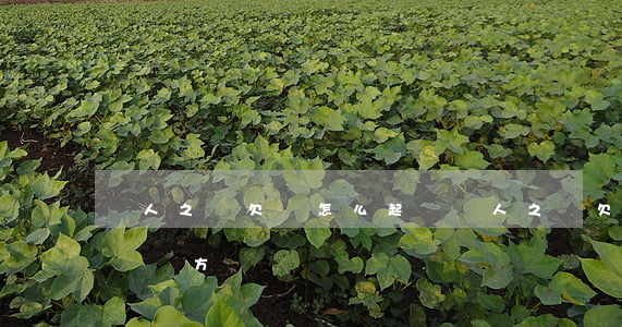 個人之間欠錢怎么起訴 個人之間欠錢怎么起訴對方