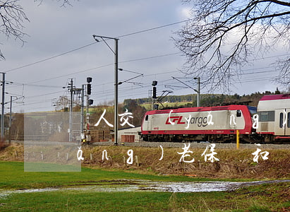 個人交養(yǎng)老保險(個人交養(yǎng)老保險和單位交有什么區(qū)別)