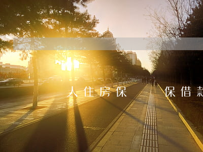 個人住房保證擔保借款合同