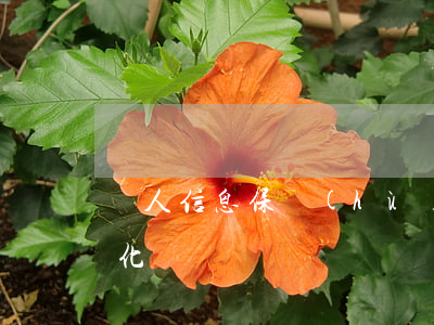 個人信息保護(hù)法出臺將帶來哪些變化