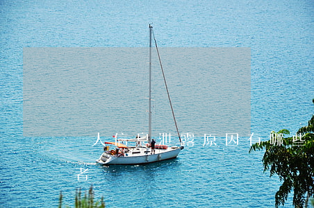 個人信息泄露原因有哪些（如何處理信息泄露者）