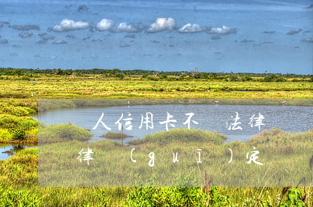 個人信用卡不還法律處罰(信用卡無力償還法律規(guī)定)