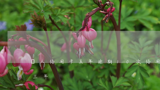個人信用卡五年逾期10次(信用卡5萬逾期三年)