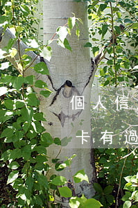 個人信用卡出現(xiàn)幾次逾期(信用卡有過一次逾期)