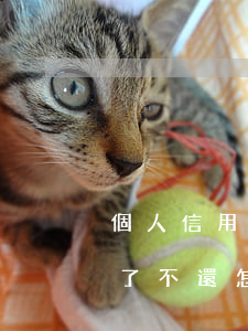 個人信用卡透支不還后果(信用卡被別人透支了不還怎么辦)