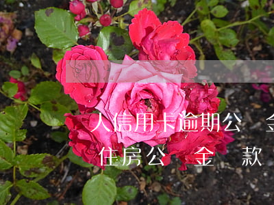 個人信用卡逾期公積金(個人征信有逾期可以辦住房公積金貸款嗎)