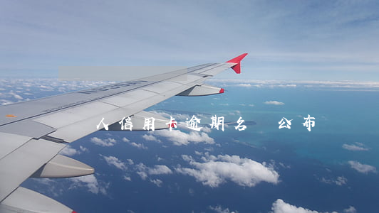 個人信用卡逾期名單公布