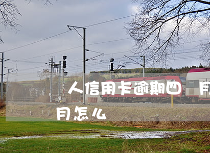 個人信用卡逾期四個月 個人信用卡逾期四個月怎么辦