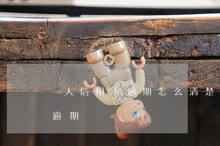 個人信用卡逾期怎么清楚(怎么看自己信用卡逾期記錄)