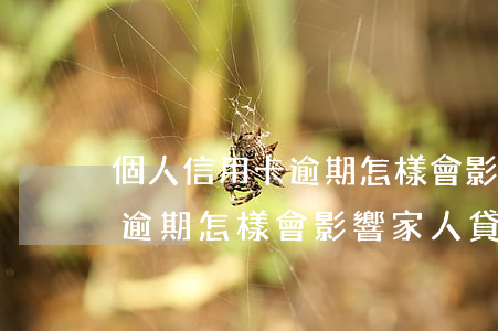 個人信用卡逾期怎樣會影響家人(個人信用卡逾期怎樣會影響家人貸款)