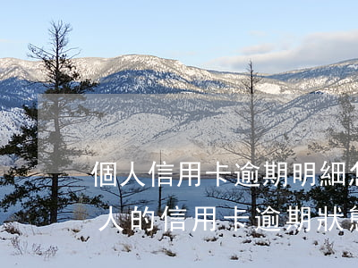 個人信用卡逾期明細怎么查詢-怎么查詢家人的信用卡逾期狀態(tài)