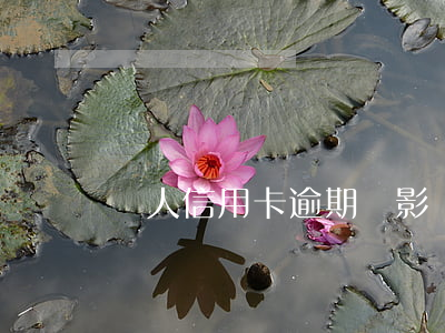 個人信用卡逾期會影響兄弟姐妹嗎