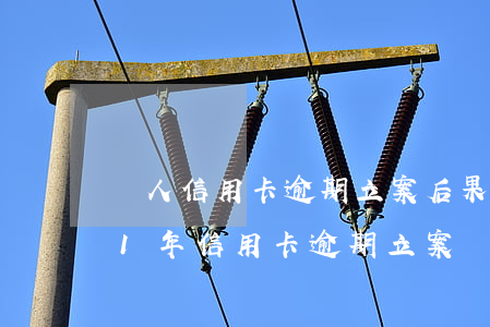 個人信用卡逾期立案后果如何上海-2021年信用卡逾期立案標(biāo)準(zhǔn)