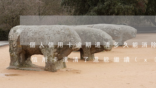 個人信用卡逾期還清多久能消除(逾期很久的信用卡還清了還能繼續(xù)用嗎?)