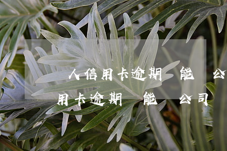 個人信用卡逾期還能開公司賬戶嗎-個人信用卡逾期還能開公司賬戶嗎知乎