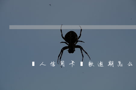 個人信用卡還款逾期怎么算的