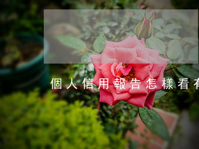 個人信用報告怎樣看有沒有逾期-