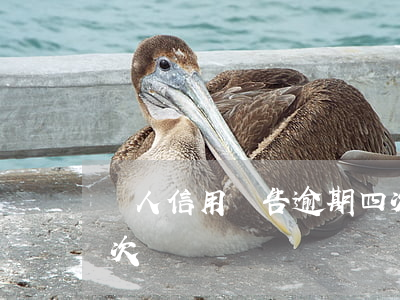 個人信用報告逾期四次(個人信用報告逾期四次)