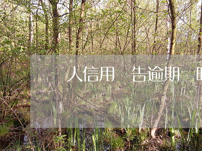個人信用報告逾期說明（個人信用卡逾期說明）