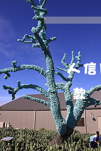 個人信用有逾期能貸款嗎(個人信用有逾期能貸款嗎)