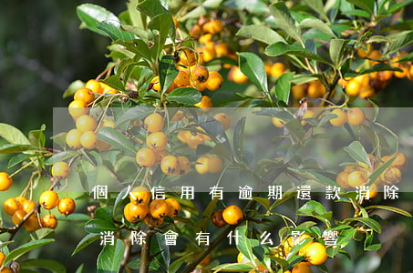 個人信用有逾期還款消除(個人信用逾期多久消除,會有什么影響)