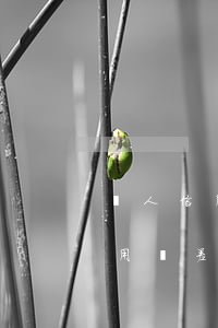 個人信用極差是怎么回事從來逾期-個人信用極差是怎么回事從來逾期的