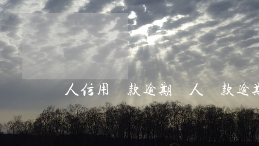 個人信用貸款逾期（個人貸款逾期起訴借款人嗎）