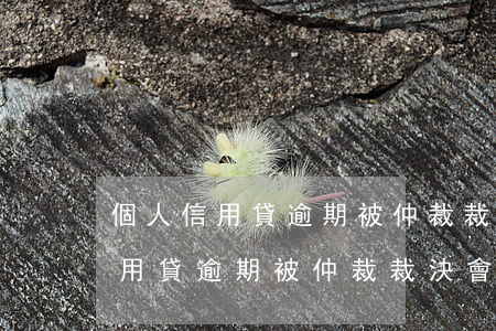 個人信用貸逾期被仲裁裁決會怎樣-個人信用貸逾期被仲裁裁決會怎樣處理
