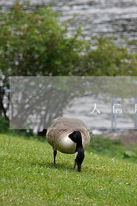 個人信用黑名單