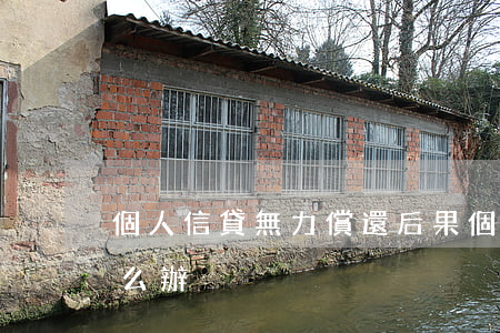 個人信貸無力償還后果 個人信貸無力償還怎么辦