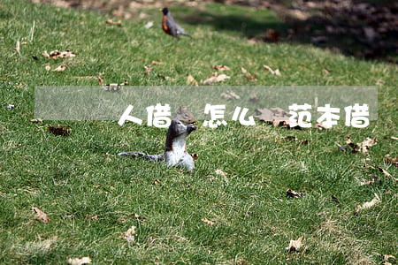 個人借條怎么寫范本(借條個人借條范本)