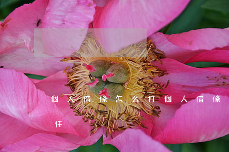 個人借條怎么打(個人借條怎么打才有法律責任)