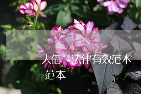 個人借條法律有效范本(個人借個人借條的正確范本)