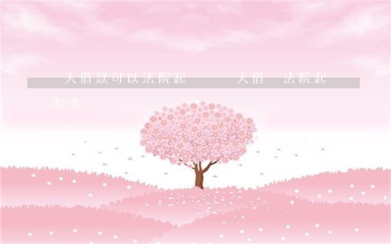 個人借款可以法院起訴嗎(個人借貸法院起訴怎么辦)