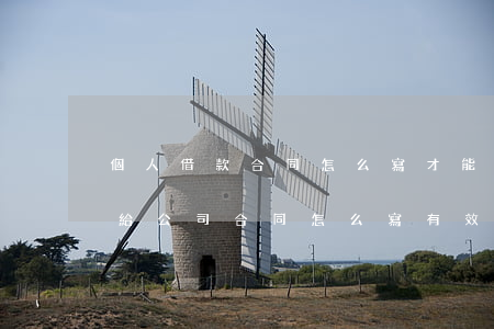 個人借款合同怎么寫才能法律有效(個人借款給公司合同怎么寫有效)