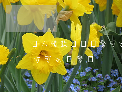 個人借款糾紛報警可以嗎(私人貸款不還借款方可以報警嗎)