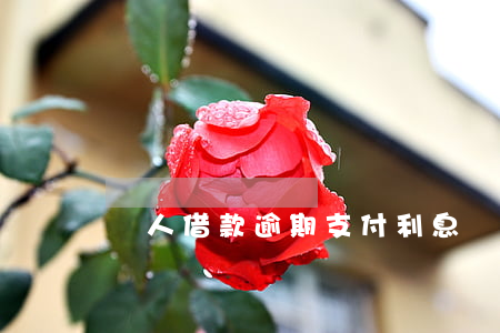 個人借款逾期支付利息訴訟