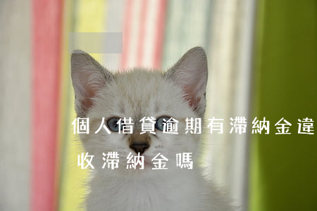 個人借貸逾期有滯納金違法嗎(個人欠款可以收滯納金嗎)