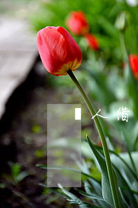 個人借錢多少錢可以起訴