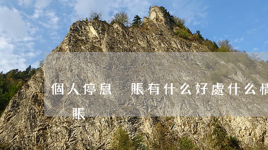 個人停息掛賬有什么好處(什么情況可以停息掛賬)