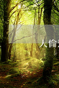 個人偷渡判多少年(個人偷渡判多少年)