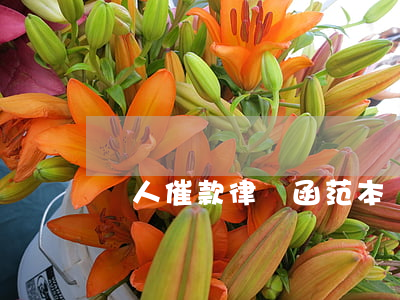 個人催款律師函范本(個人收到催款律師函)