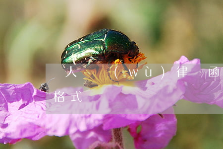 個人債務(wù)律師函范文-欠債律師函格式