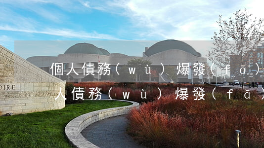 個人債務(wù)爆發(fā)了怎么辦?（個人債務(wù)爆發(fā)無力償還）